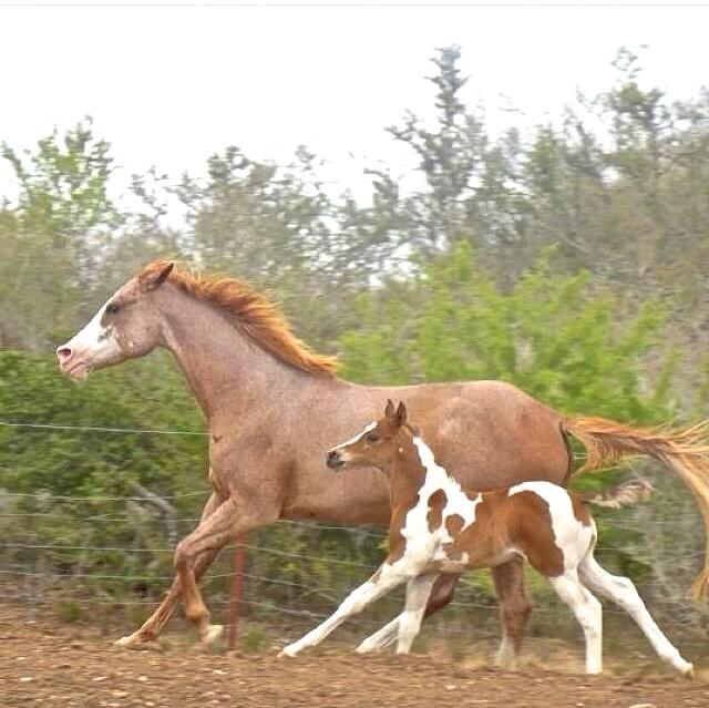 MOM  and  HER  LITTLE  ONE