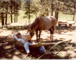 reading "Training Western Horses"