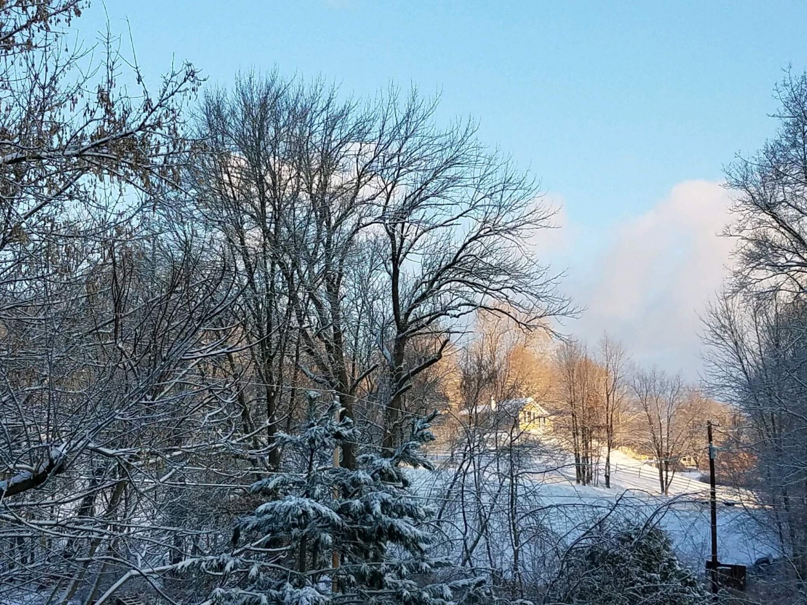same / Christmas morning at the farm 2017