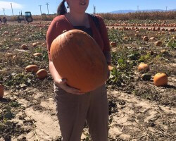 picking pumpkins with my family