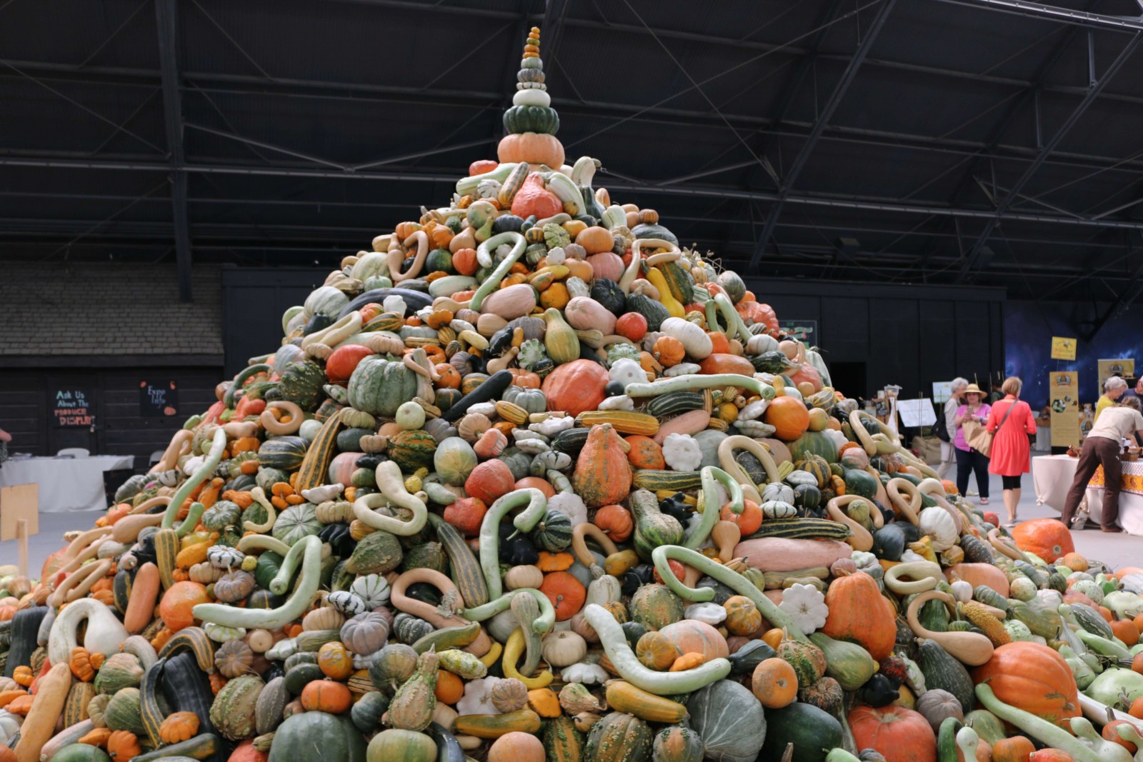 National Heirloom Organic Seed Expo / Santa Rosa, CA