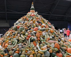 National Heirloom Organic Seed Expo / Santa Rosa, CA