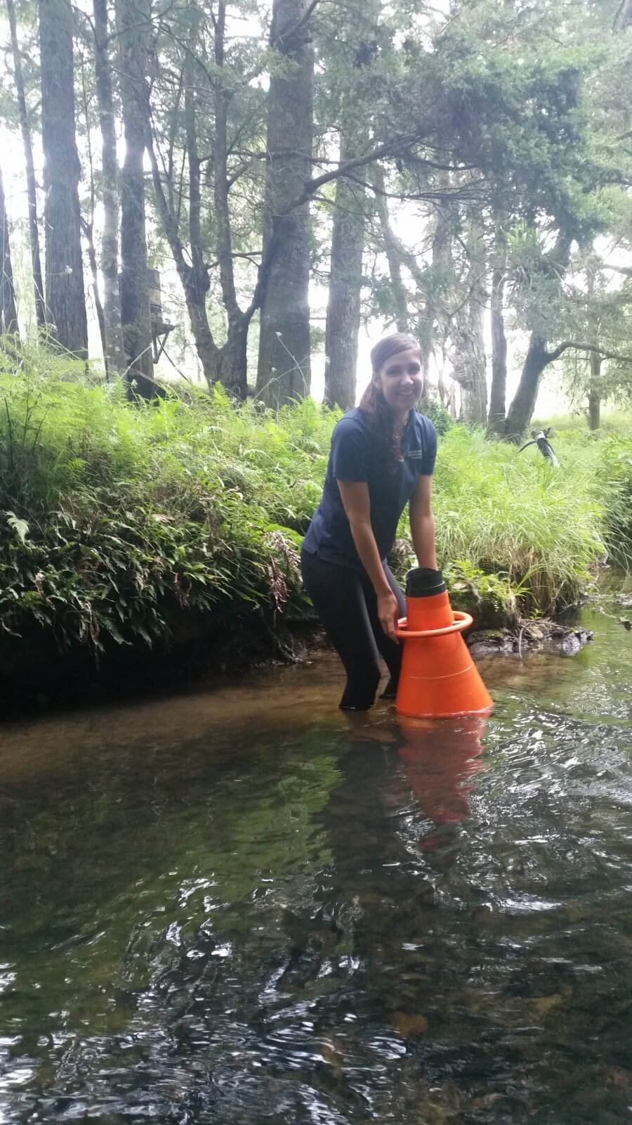 I love my job. Looking at stream life through a viewer.  There's always something new to learn about.