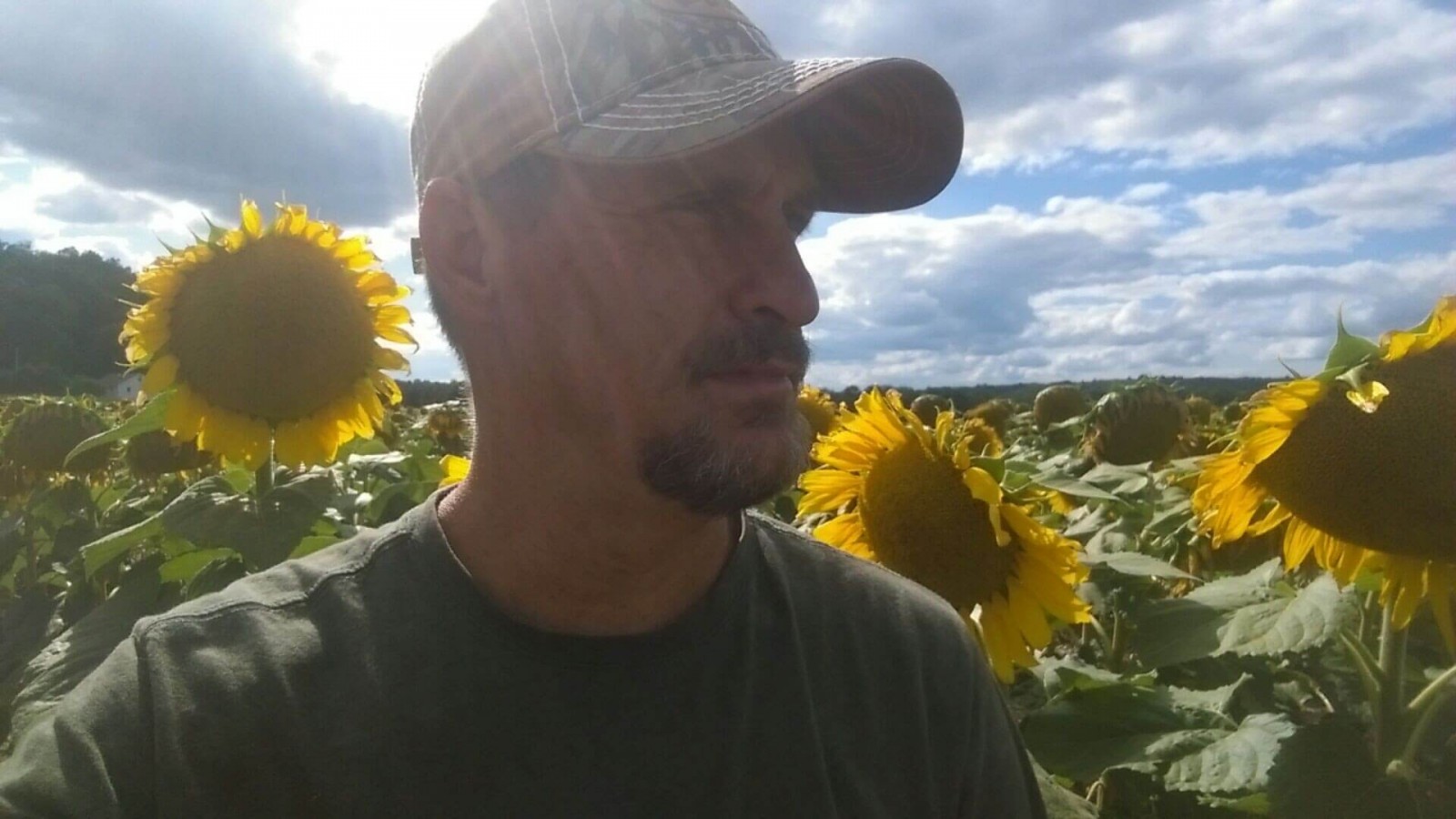 self in sunflower fields, NJ the garden State