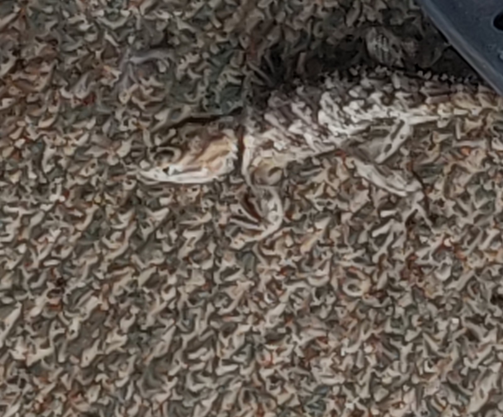 You can't see me