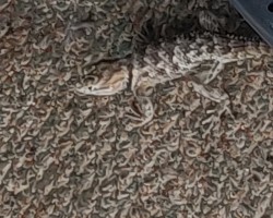 You can't see me