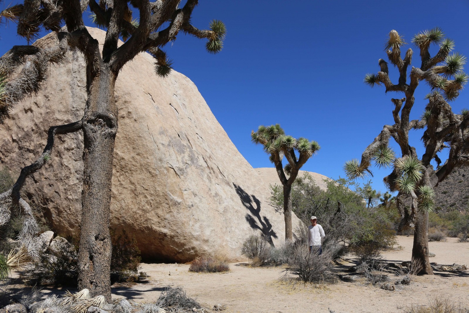 friend / hiking Joshua Tree National Park, CA