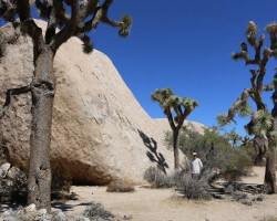 friend / hiking Joshua Tree National Park, CA