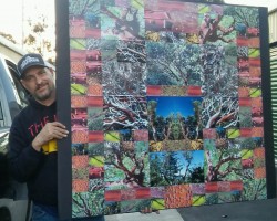 self with mosaic artwork manzanita forests