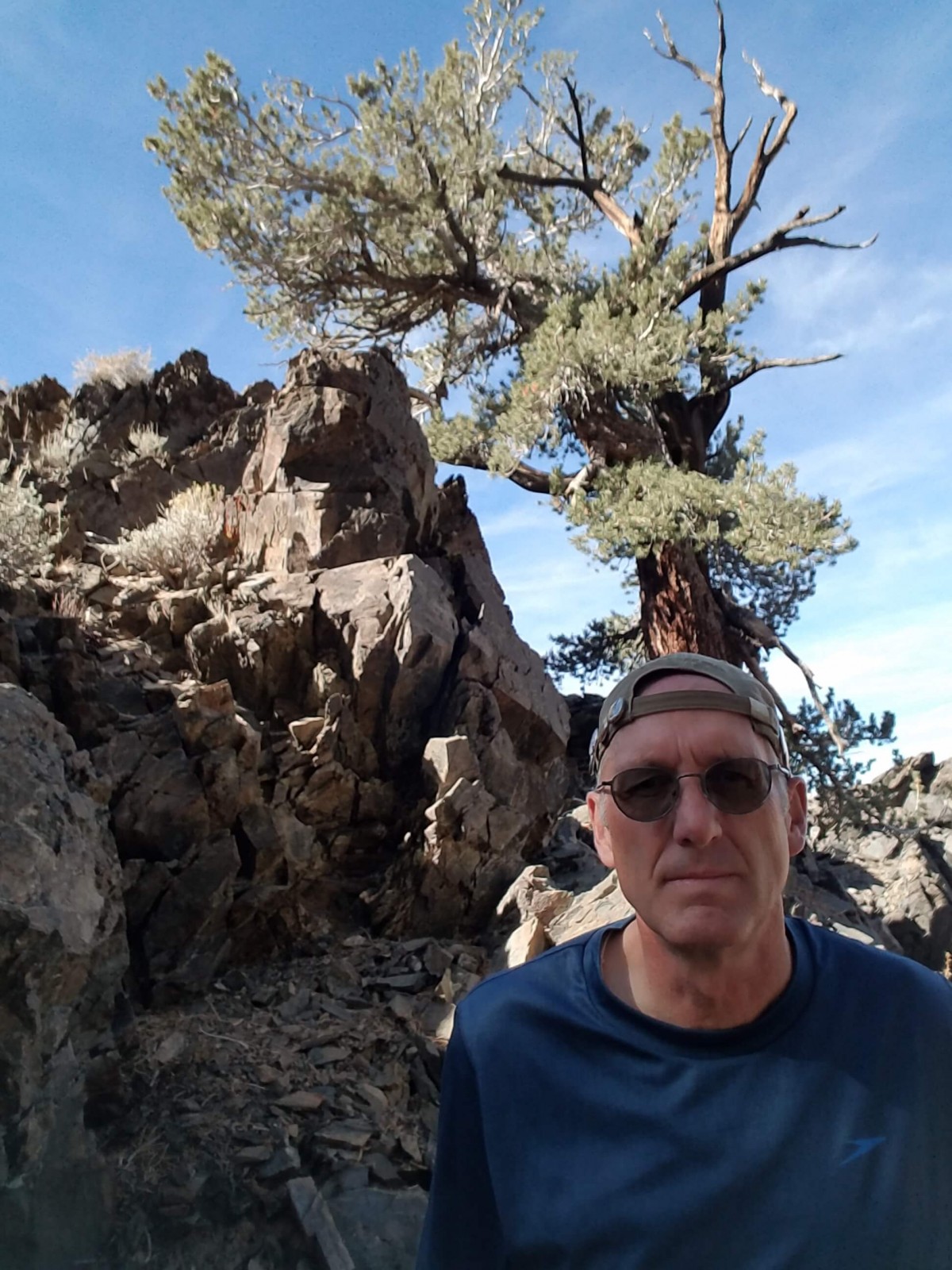 Bristlecone Pine Forest, California October 2018