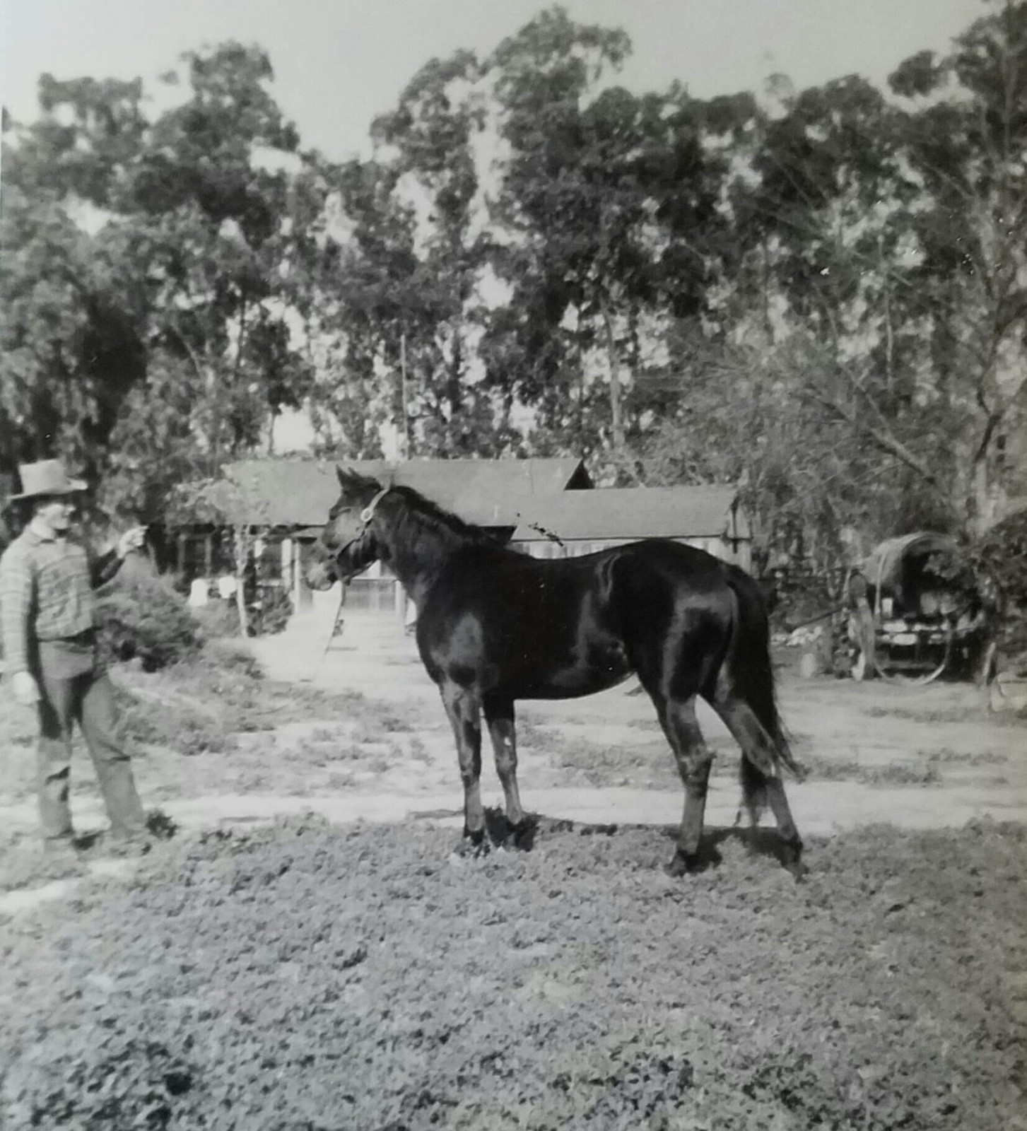 Grandfather with his home 1940