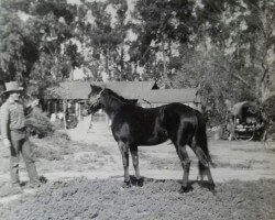 Grandfather with his home 1940