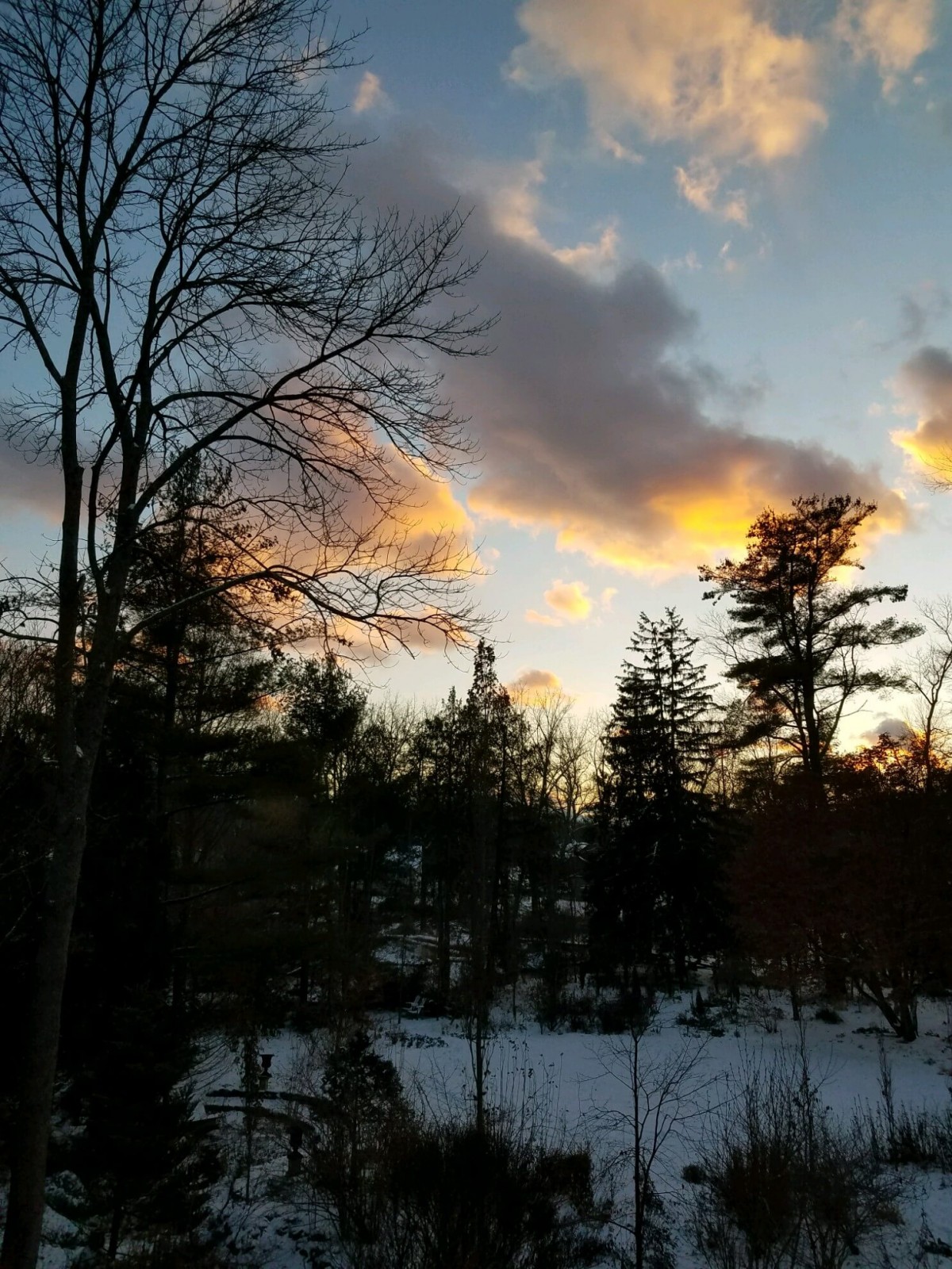 front yard winter 2017 / Christmas morning