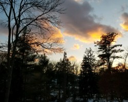 front yard winter 2017 / Christmas morning