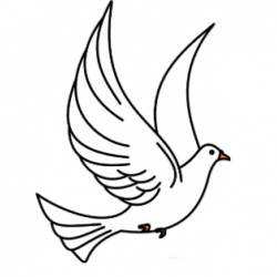 Peace dove