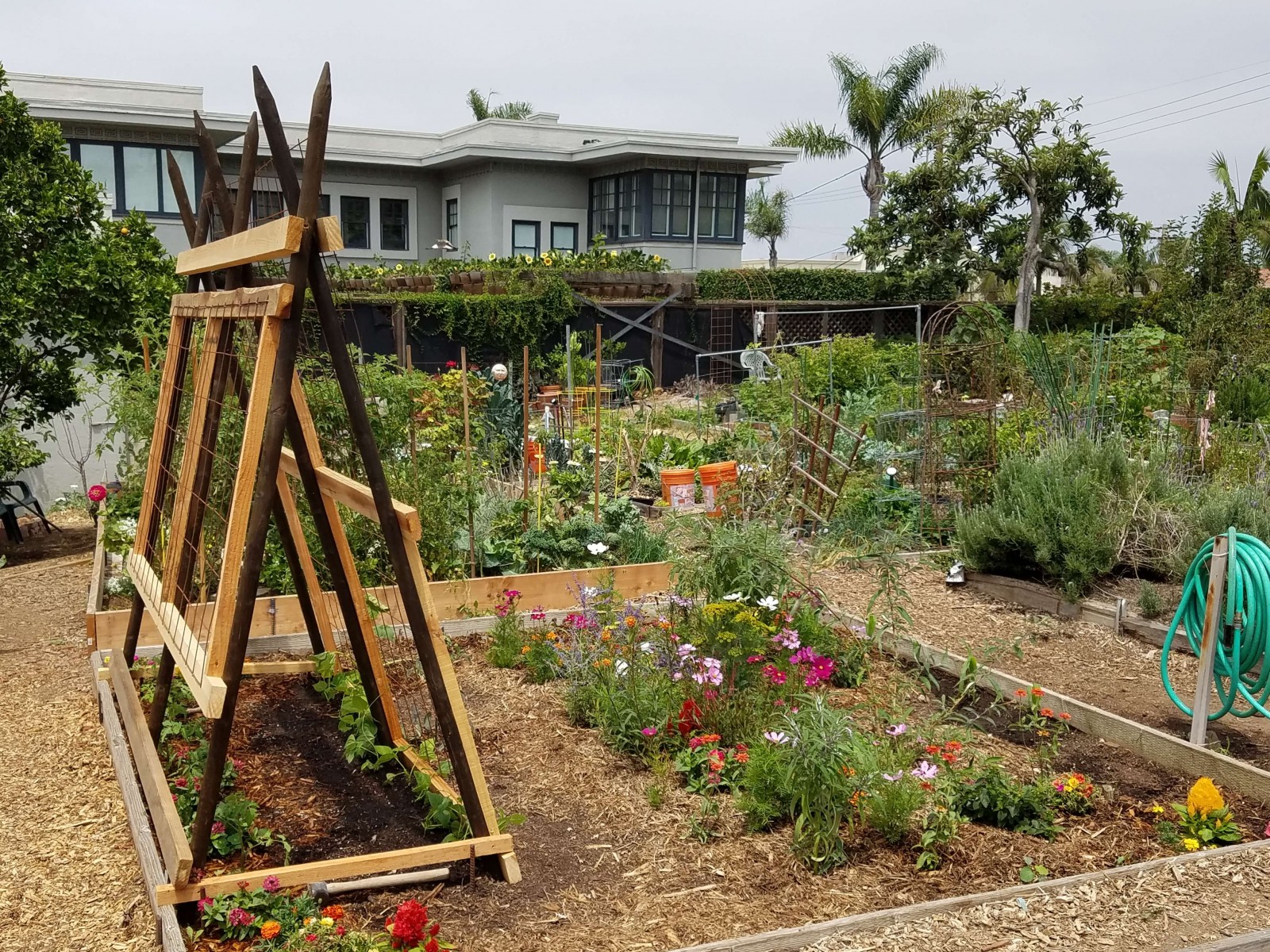 Garden Project at:
San Diego Authority of Port / Community Vegetable garden at Front and Jupiter Streets