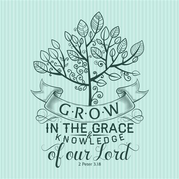 Grow in the grace and knowledge of your lord