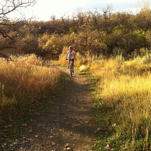 Mountain Bike Trail in Kaysville