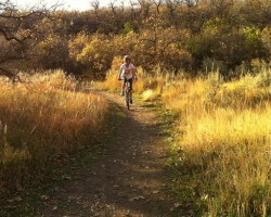 Mountain Bike Trail in Kaysville