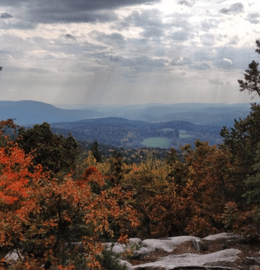 near my place in Wantage Township, NJ / Appalachian mountain forests / trails
