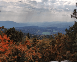near my place in Wantage Township, NJ / Appalachian mountain forests / trails